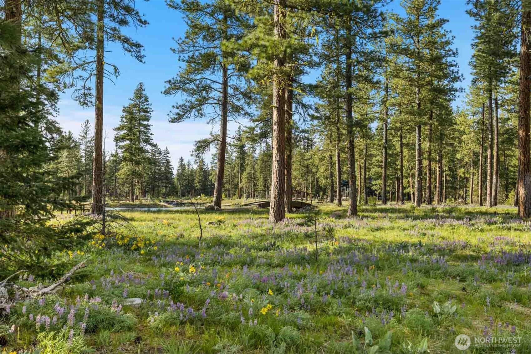 53 Wanawish Loop Cle Elum WA 98922