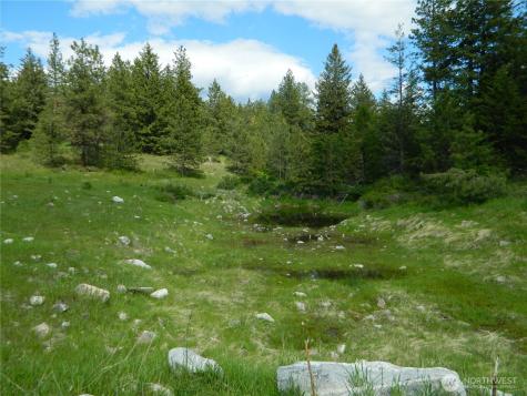 0 Tbd Blue Meadow Road Tonasket WA 98855