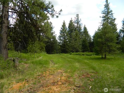 0 Tbd Blue Meadow Road Tonasket WA 98855
