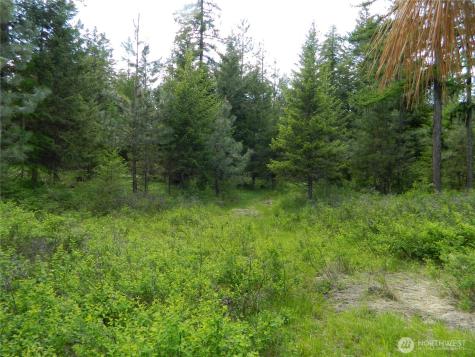 0 Tbd Blue Meadow Road Tonasket WA 98855