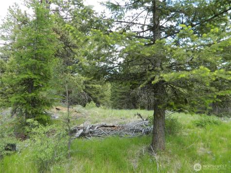 0 Tbd Blue Meadow Road Tonasket WA 98855