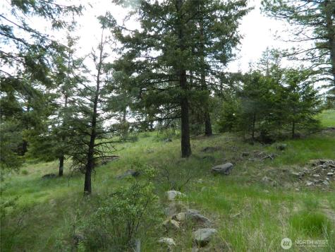0 Tbd Blue Meadow Road Tonasket WA 98855