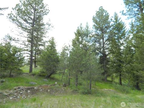 0 Tbd Blue Meadow Road Tonasket WA 98855