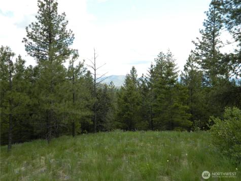 0 Tbd Blue Meadow Road Tonasket WA 98855