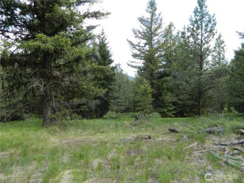 0 Tbd Blue Meadow Road Tonasket WA 98855