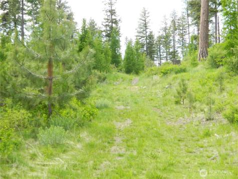 0 Tbd Blue Meadow Road Tonasket WA 98855