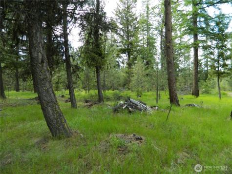 0 Tbd Blue Meadow Road Tonasket WA 98855
