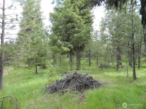 0 Tbd Blue Meadow Road Tonasket WA 98855