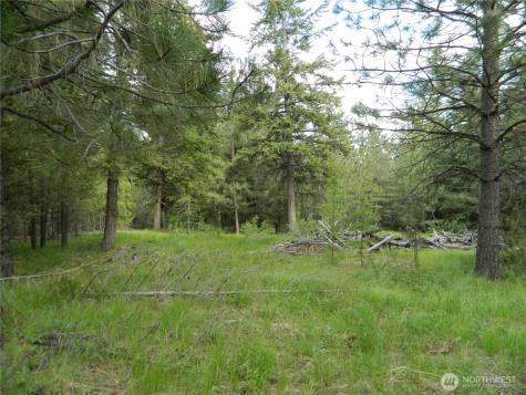 0 Tbd Blue Meadow Road Tonasket WA 98855