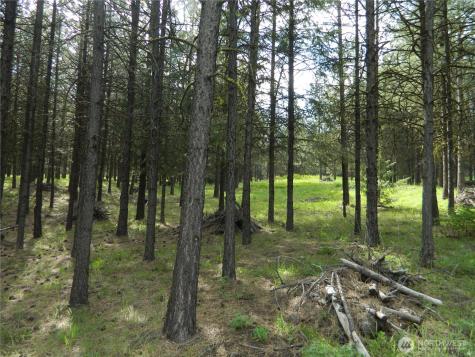 0 Tbd Blue Meadow Road Tonasket WA 98855