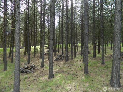0 Tbd Blue Meadow Road Tonasket WA 98855