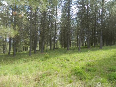 0 Tbd Blue Meadow Road Tonasket WA 98855