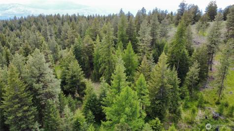 0 Tbd Blue Meadow Road Tonasket WA 98855