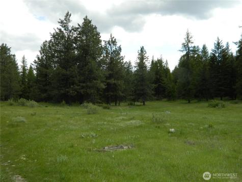 0 Tbd Blue Meadow Road Tonasket WA 98855