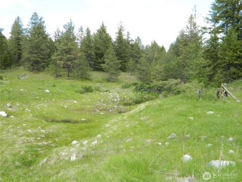 0 Tbd Blue Meadow Road Tonasket WA 98855