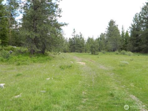 0 Tbd Blue Meadow Road Tonasket WA 98855