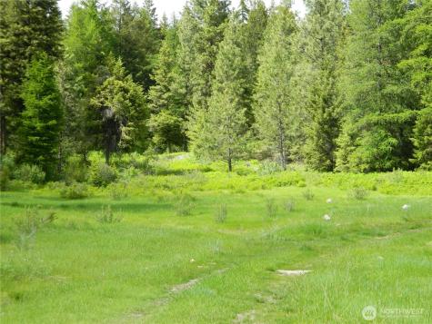 0 Tbd Blue Meadow Road Tonasket WA 98855