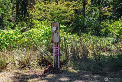 17528 425th Avenue SE North Bend WA 98045