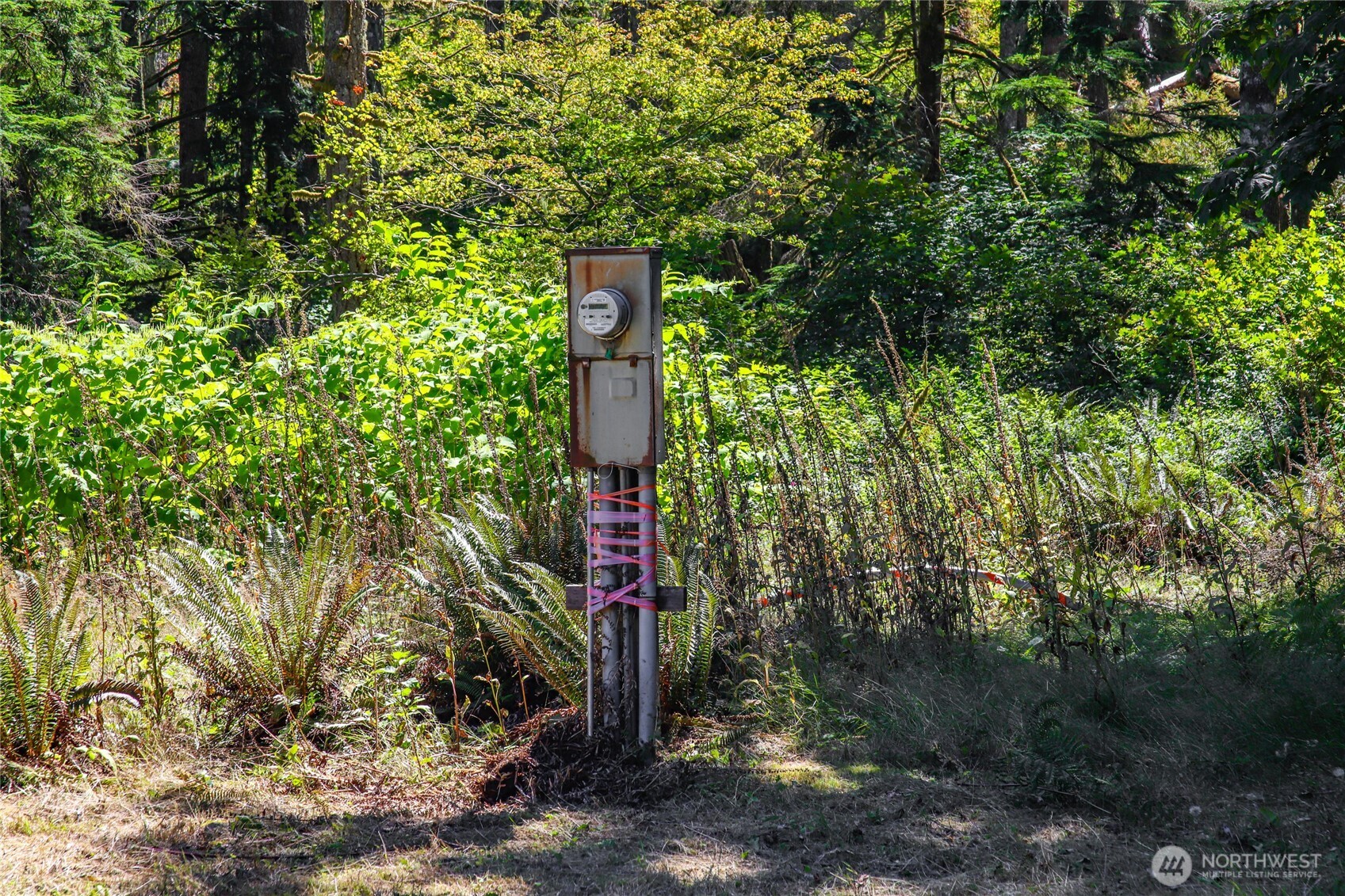 17528 425th Avenue SE North Bend WA 98045