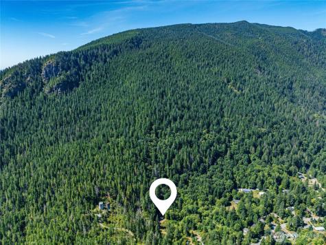 17528 425th Avenue SE North Bend WA 98045