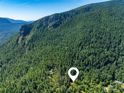17528 425th Avenue SE North Bend WA 98045