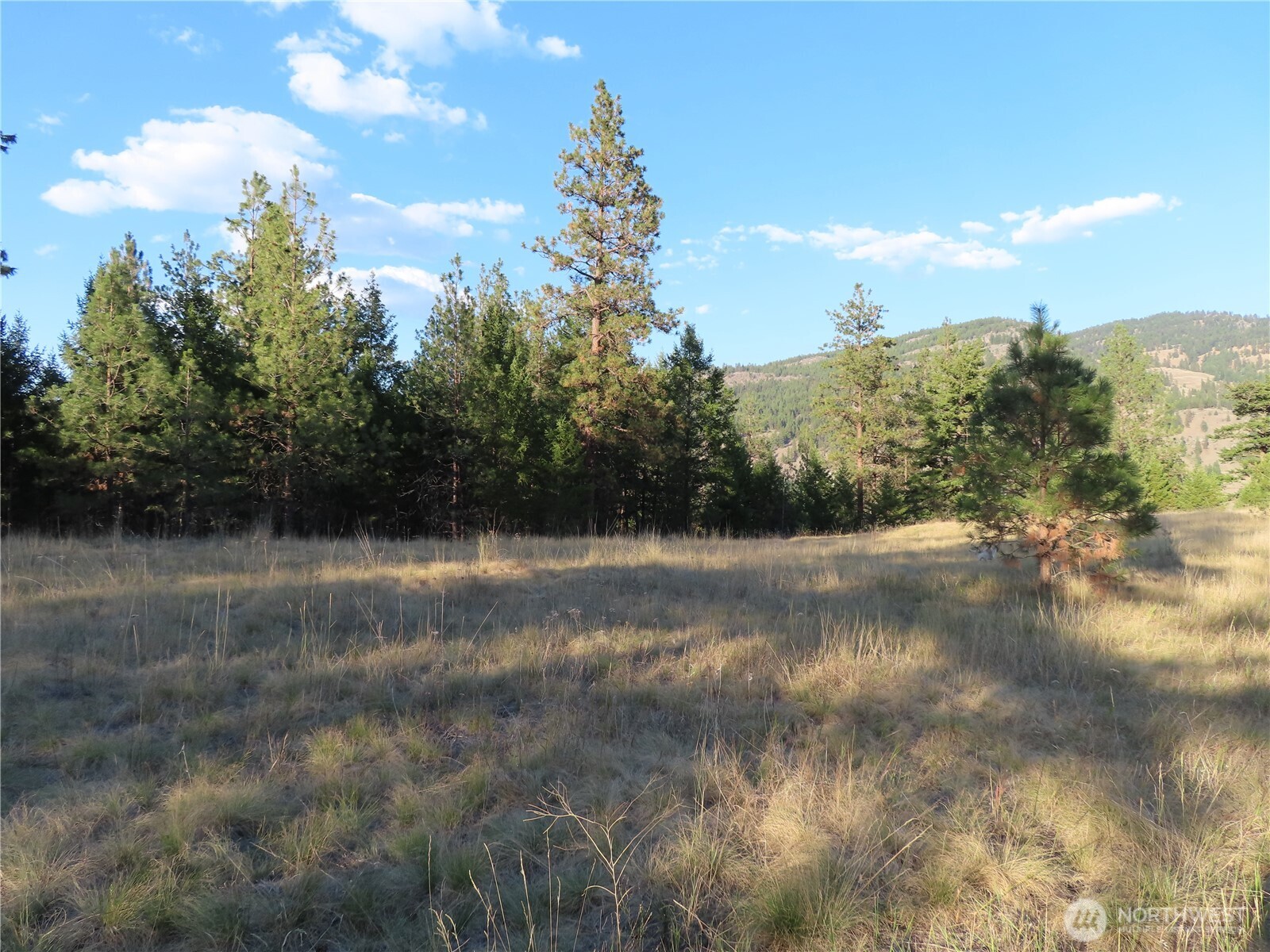 0 Toroda Creek Road Curlew WA 99118