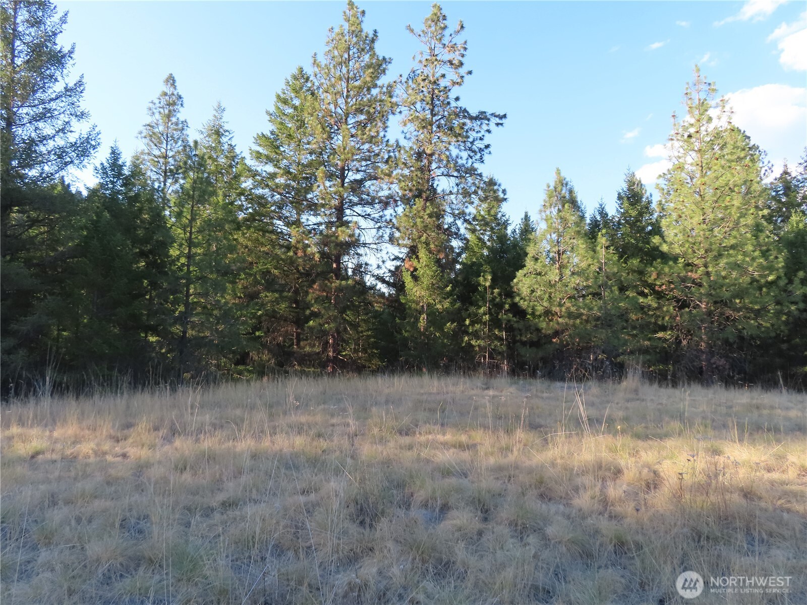 0 Toroda Creek Road Curlew WA 99118