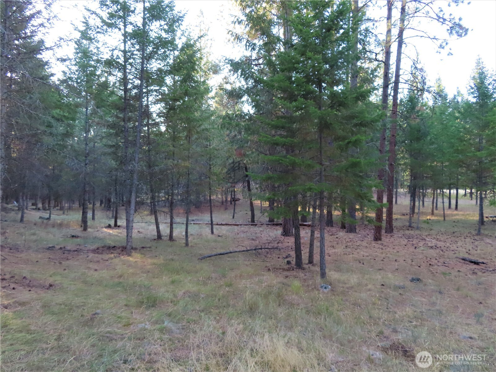 0 Toroda Creek Road Curlew WA 99118