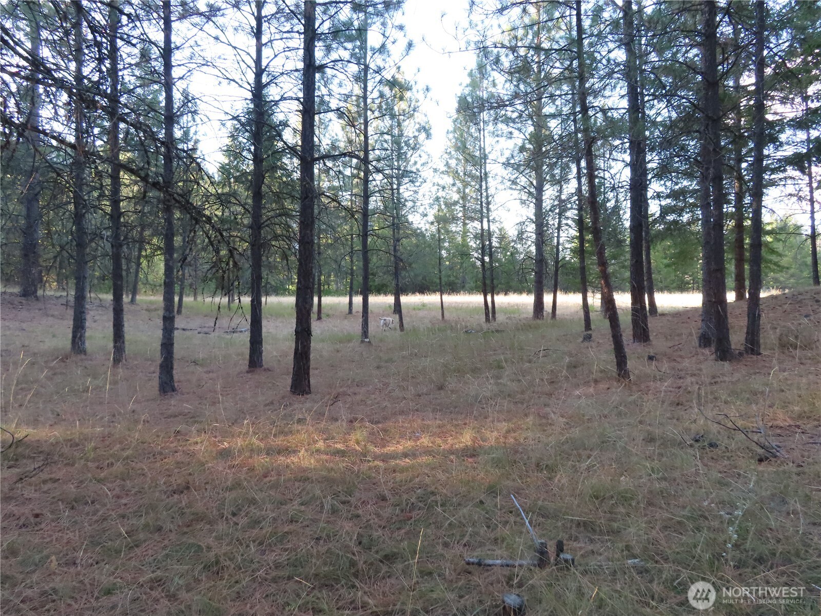 0 Toroda Creek Road Curlew WA 99118