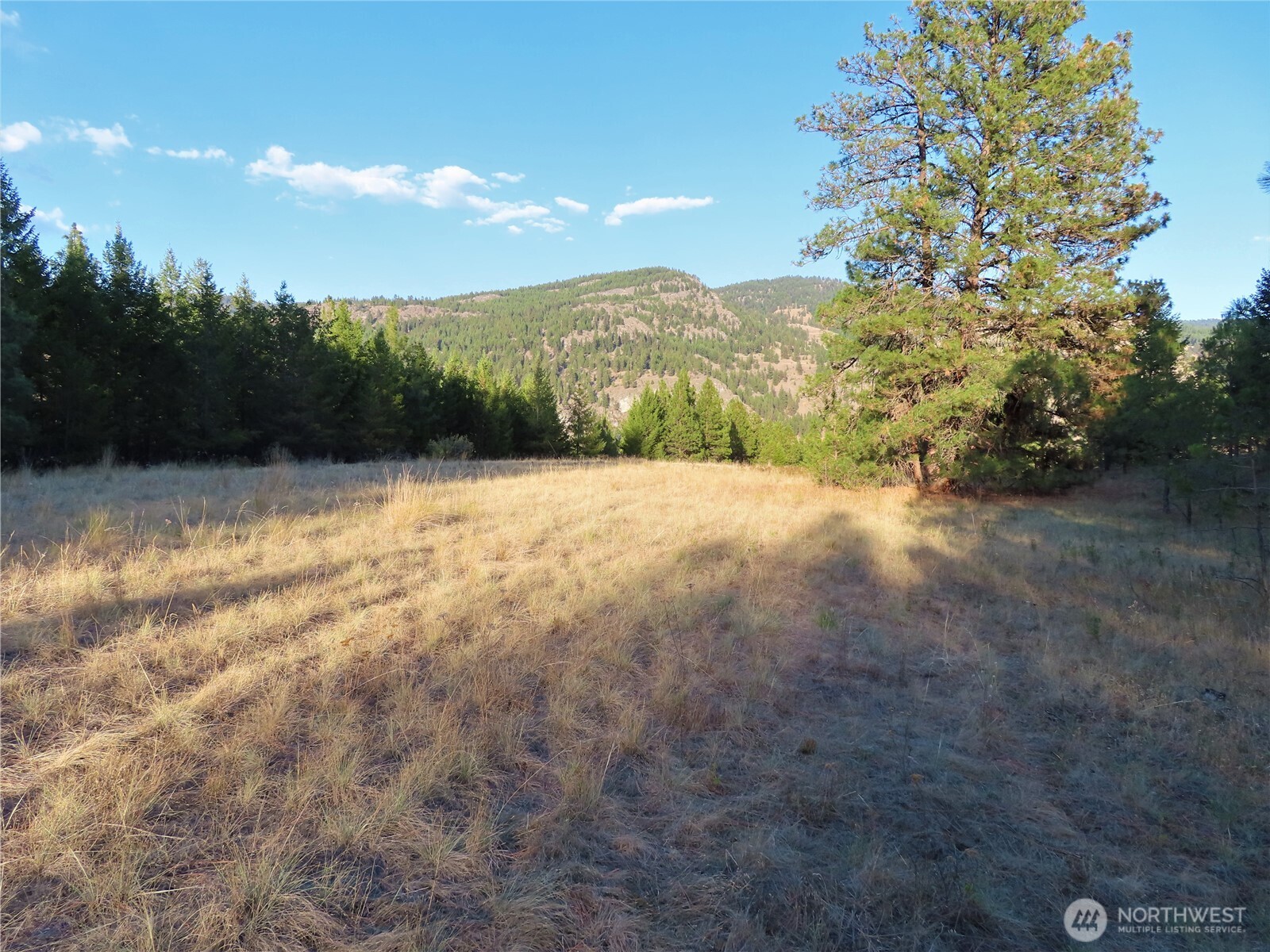 0 Toroda Creek Road Curlew WA 99118