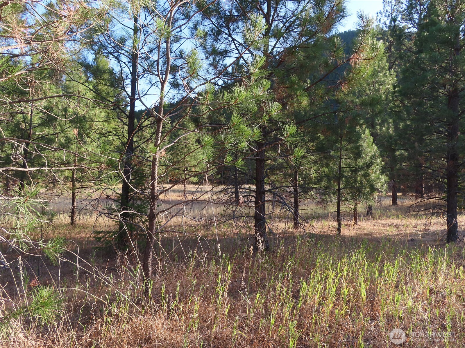 0 Toroda Creek Road Curlew WA 99118