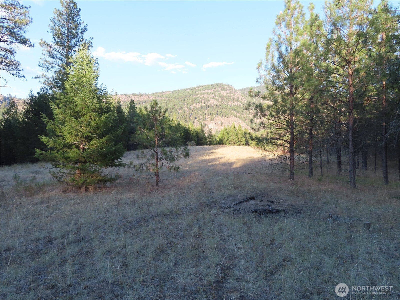 0 Toroda Creek Road Curlew WA 99118