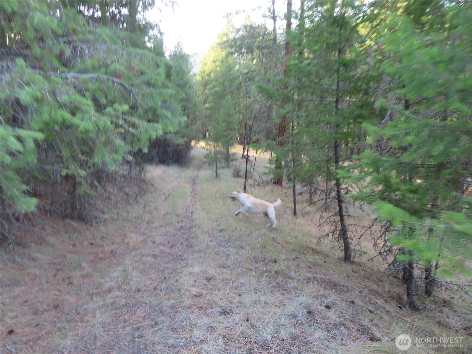 0 Toroda Creek Road Curlew WA 99118