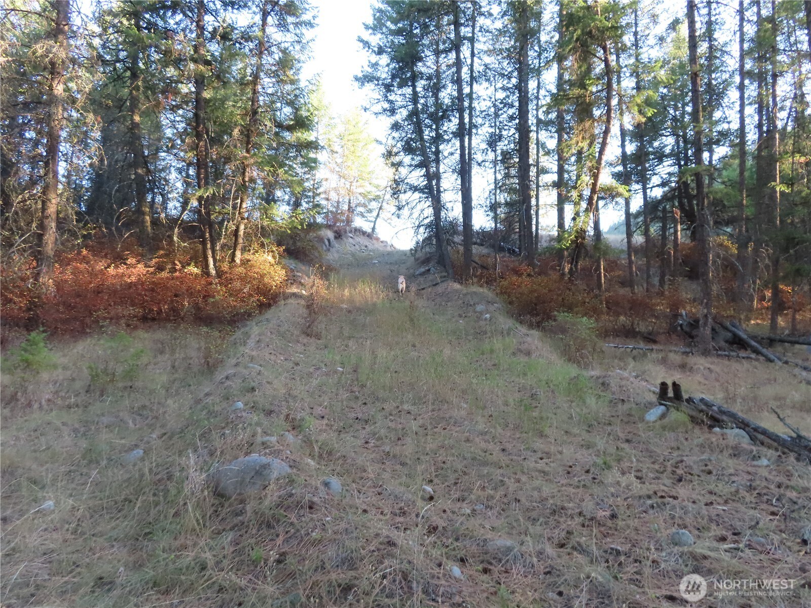 0 Toroda Creek Road Curlew WA 99118