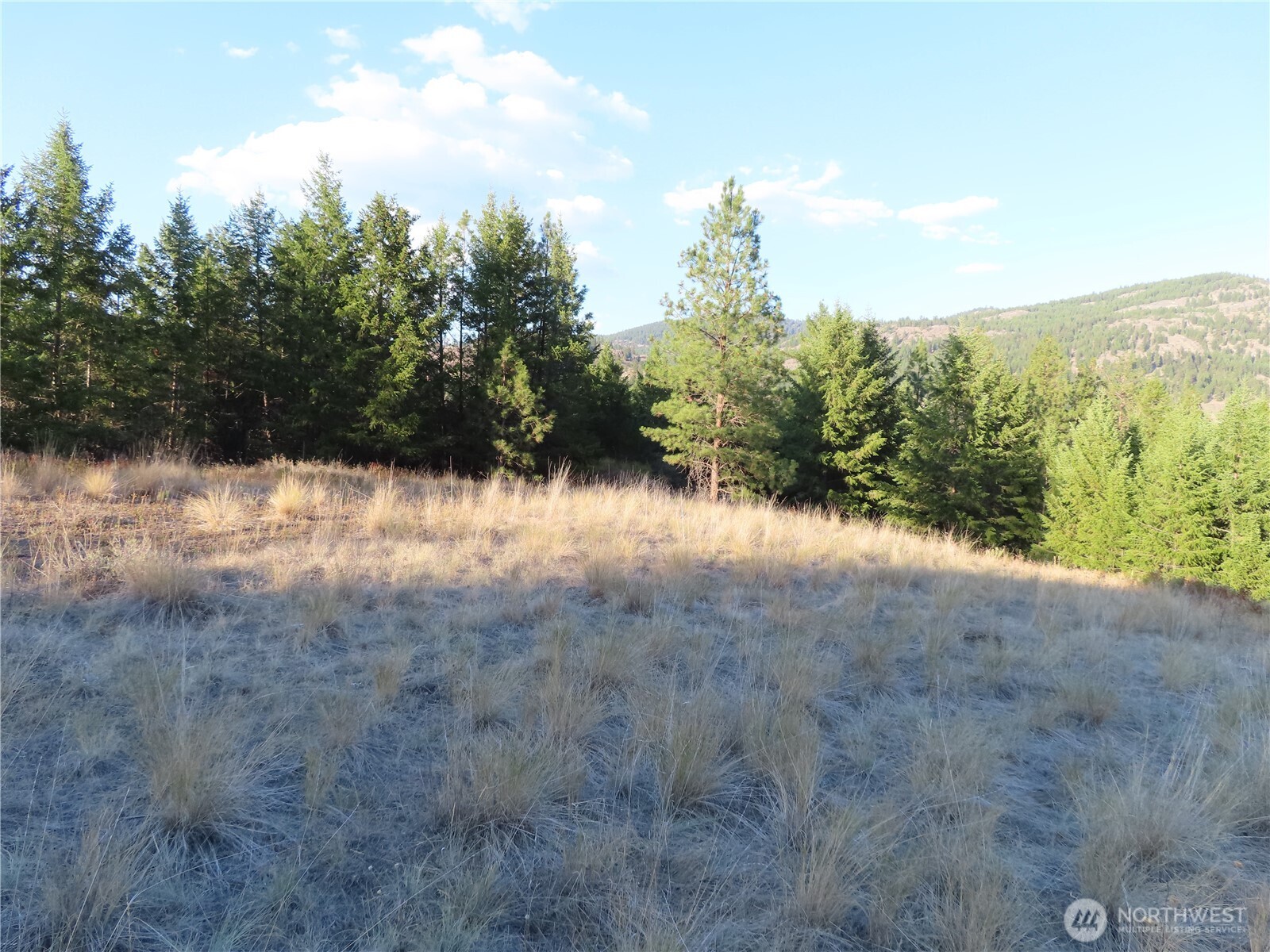 0 Toroda Creek Road Curlew WA 99118