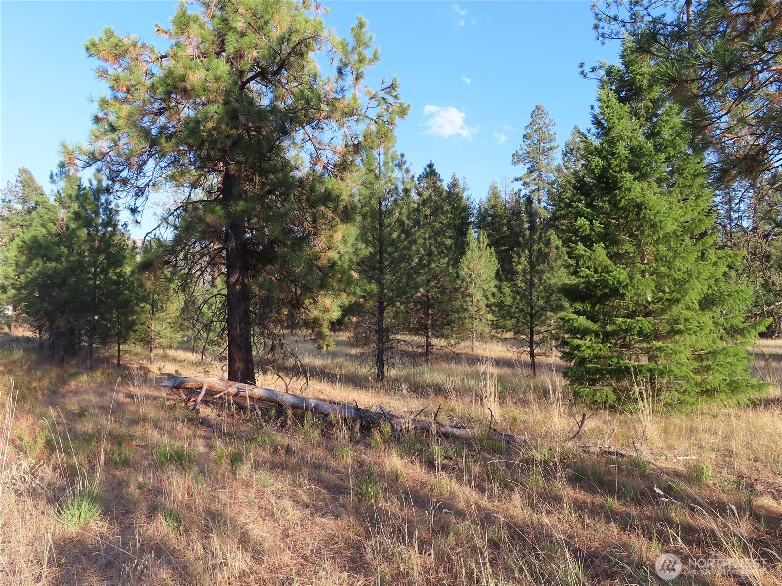 0 Toroda Creek Road Curlew WA 99118