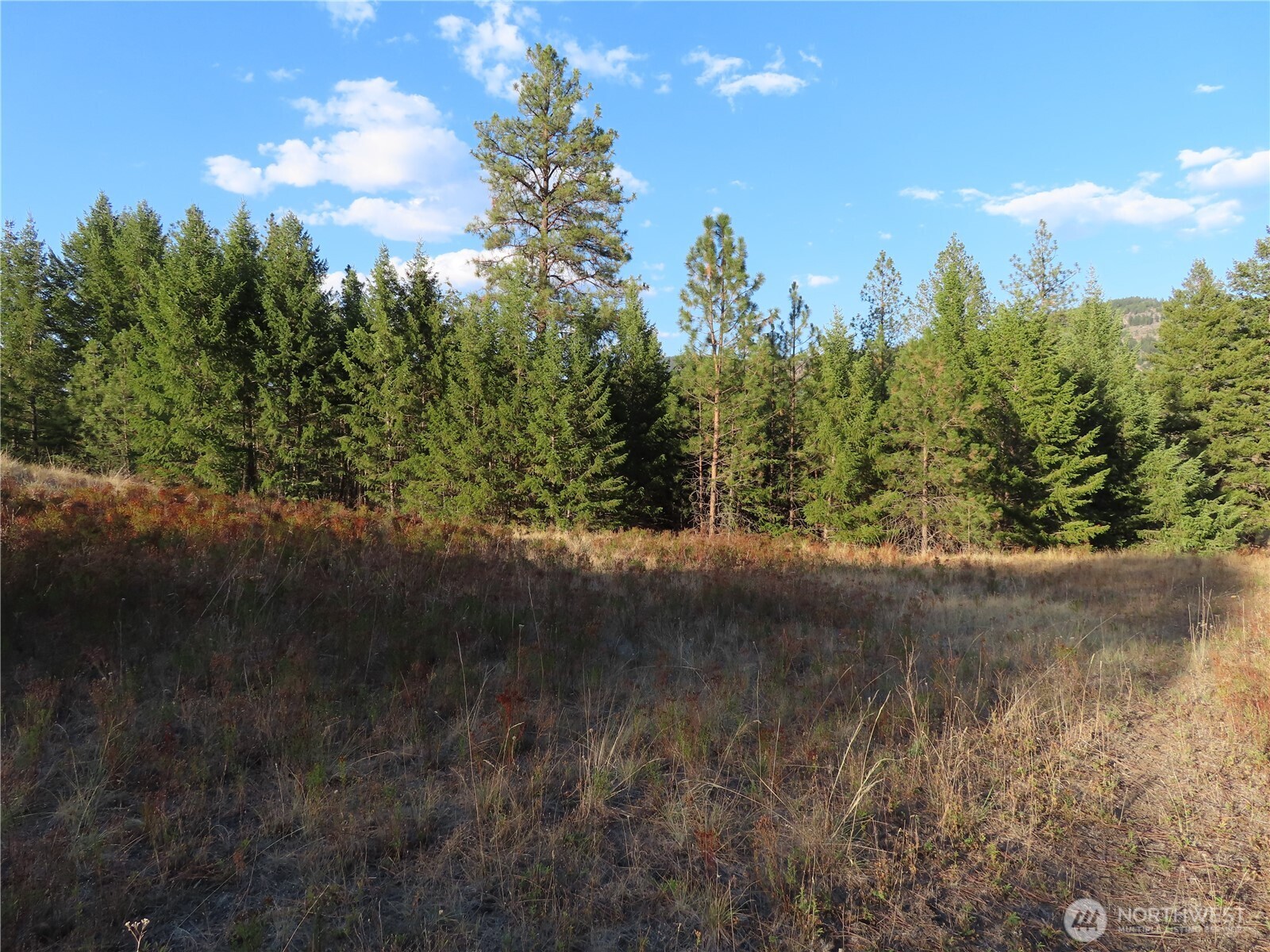 0 Toroda Creek Road Curlew WA 99118