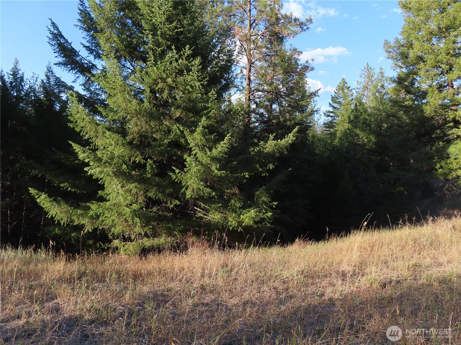 0 Toroda Creek Road Curlew WA 99118