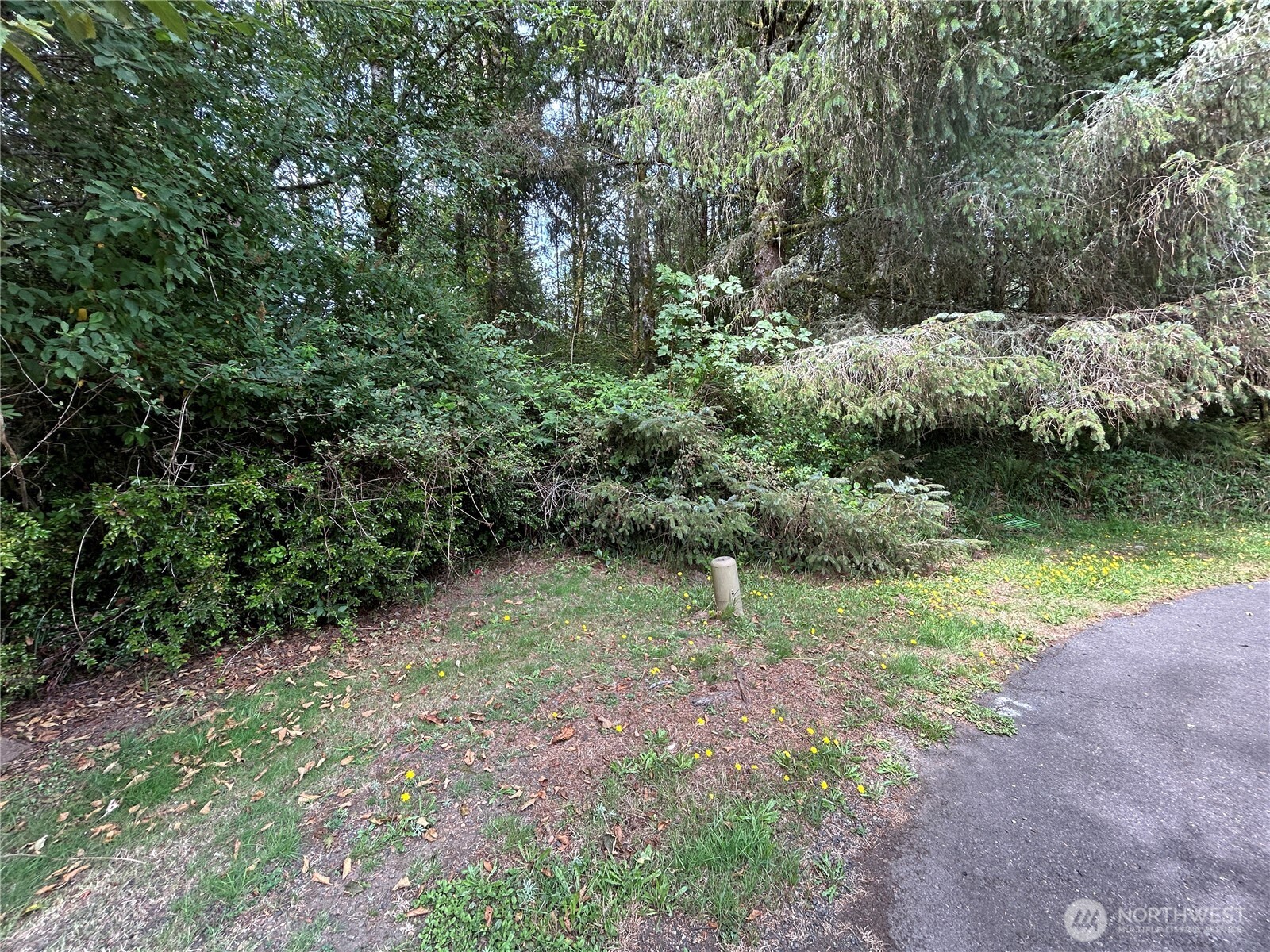 768 Sandpiper Court SE Ocean Shores WA 98569