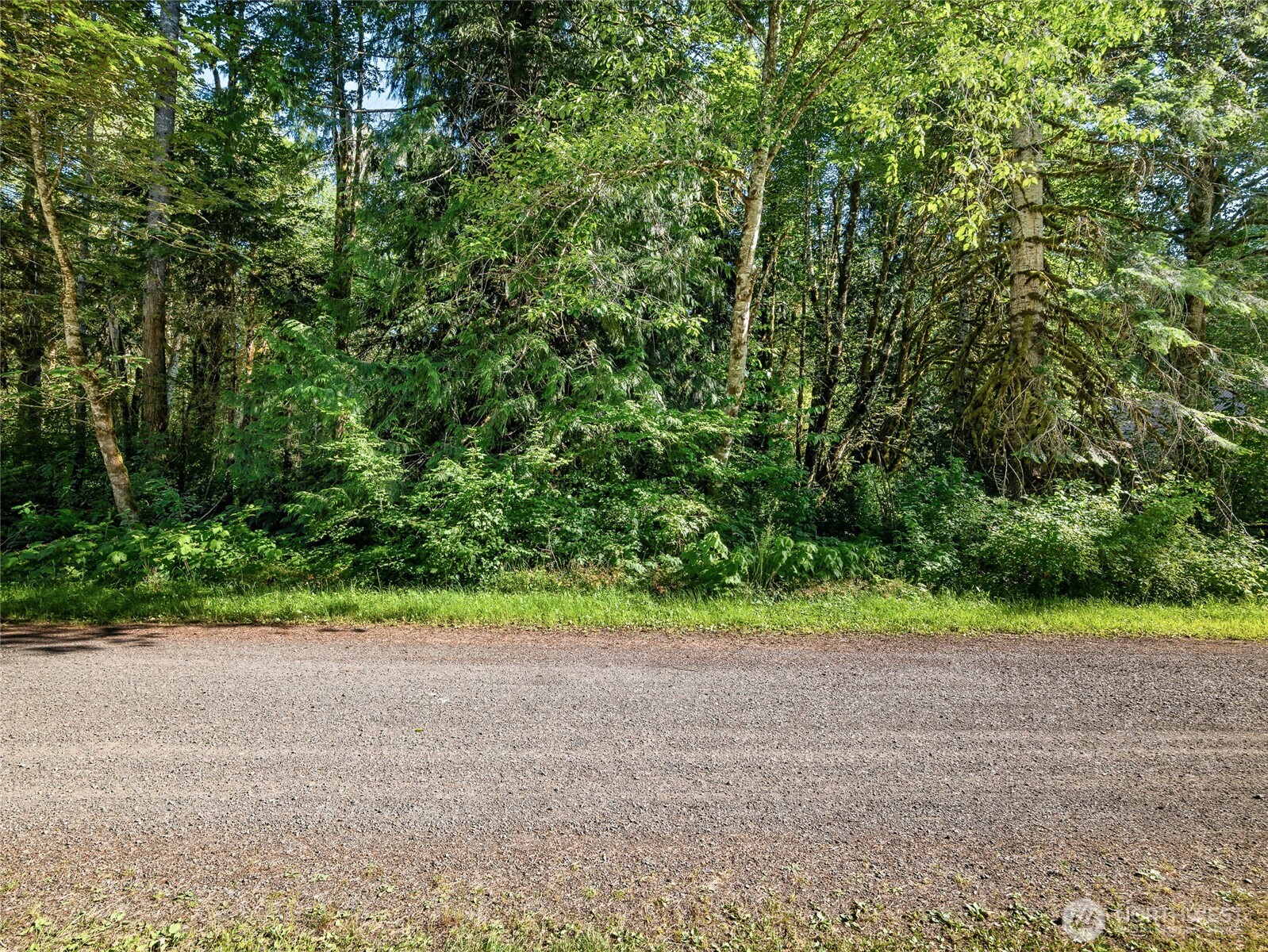 76011 NE 123rd Street Skykomish WA 98288