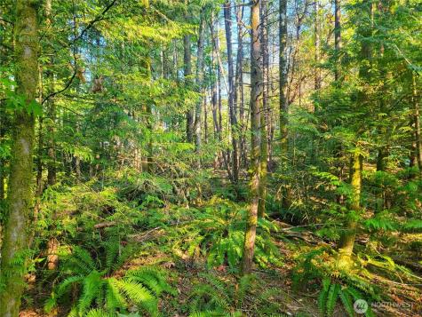 1858 NE Mcwilliams Road Bremerton WA 98311