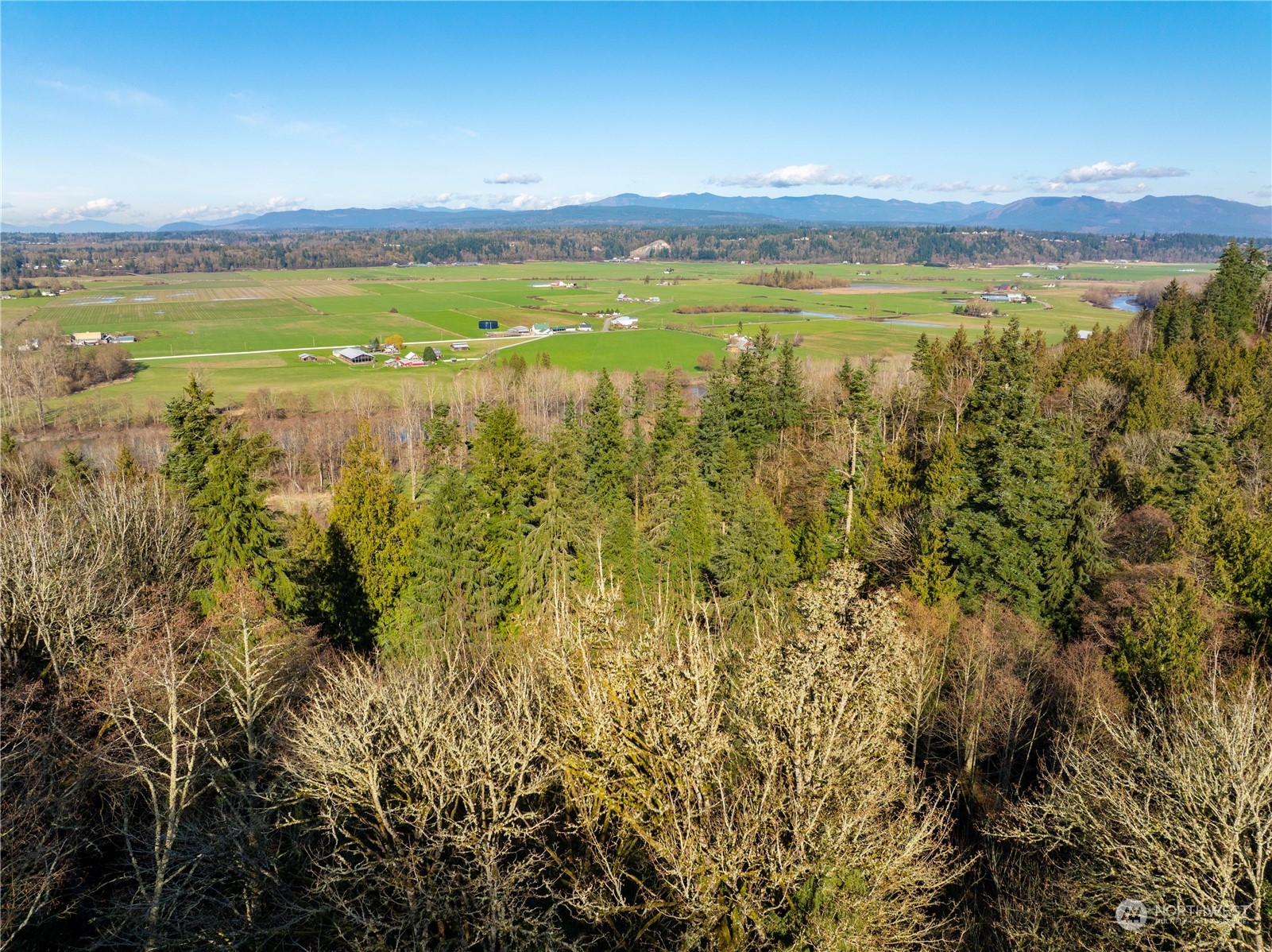 6 Silvana Terrace Road Stanwood WA 98292