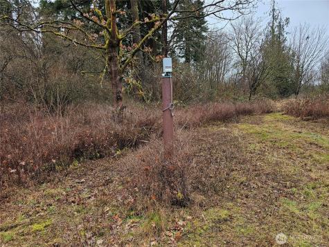 13036 188th Avenue SW Rochester WA 98579