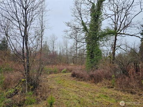 13036 188th Avenue SW Rochester WA 98579