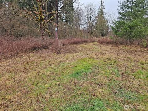 13036 188th Avenue SW Rochester WA 98579