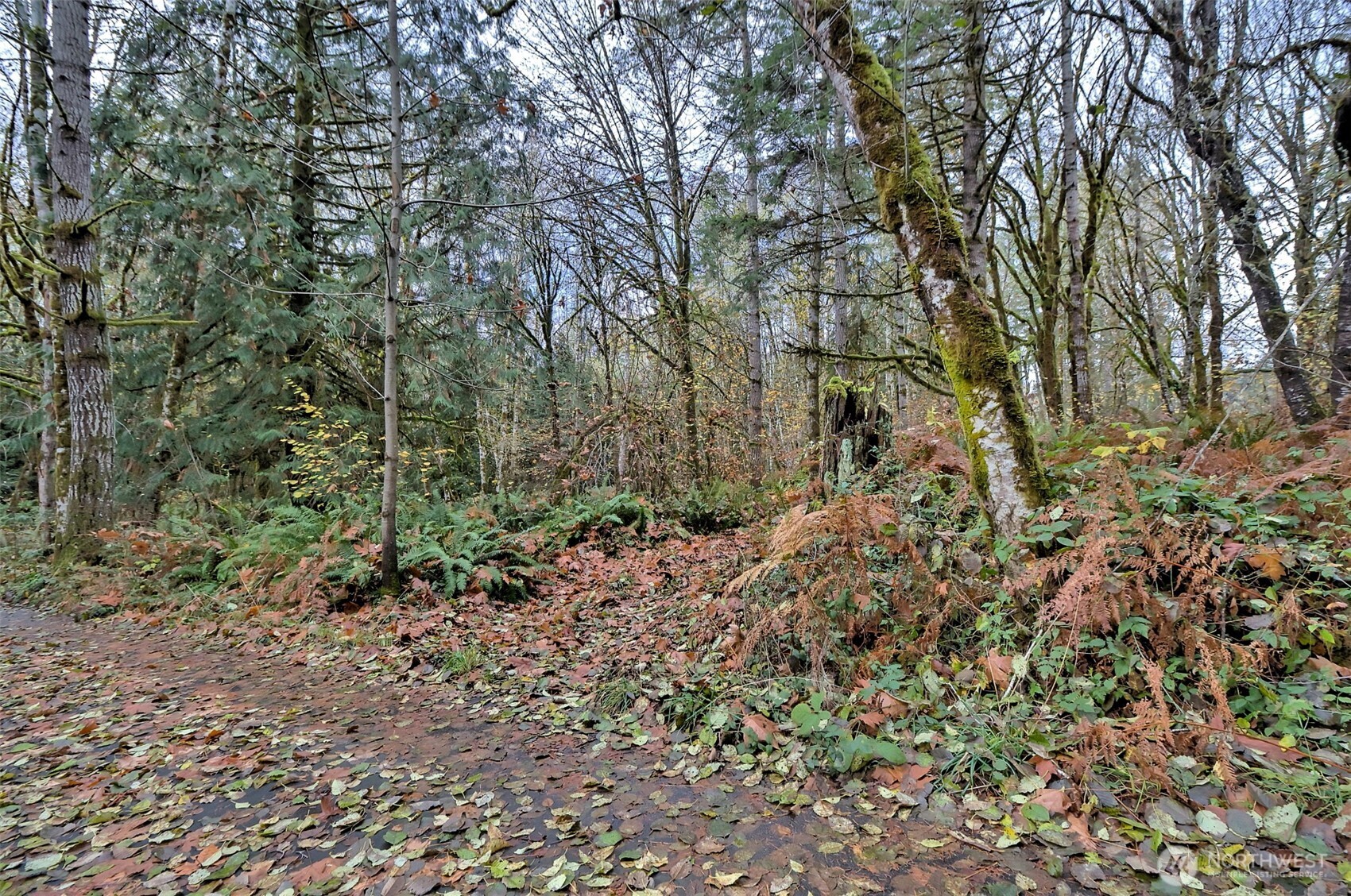 120 SE Sells Drive Shelton WA 98584