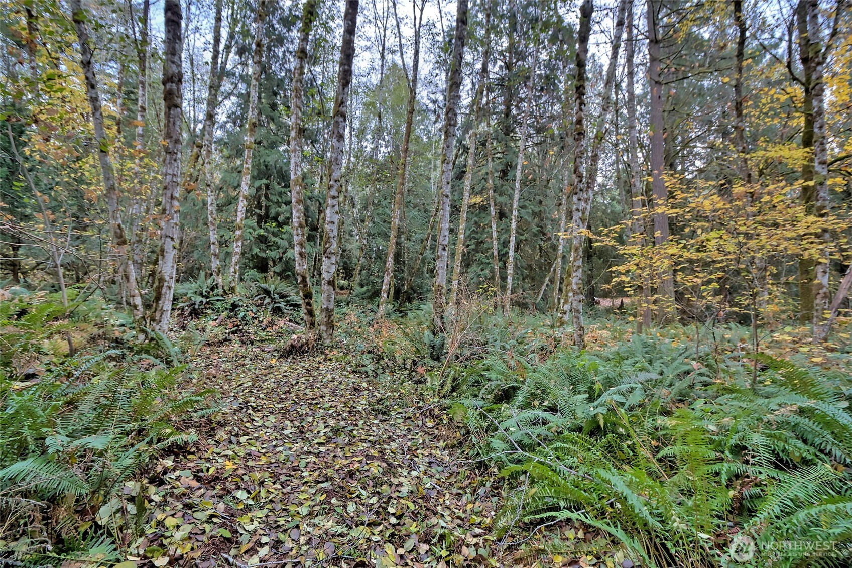 120 SE Sells Drive Shelton WA 98584