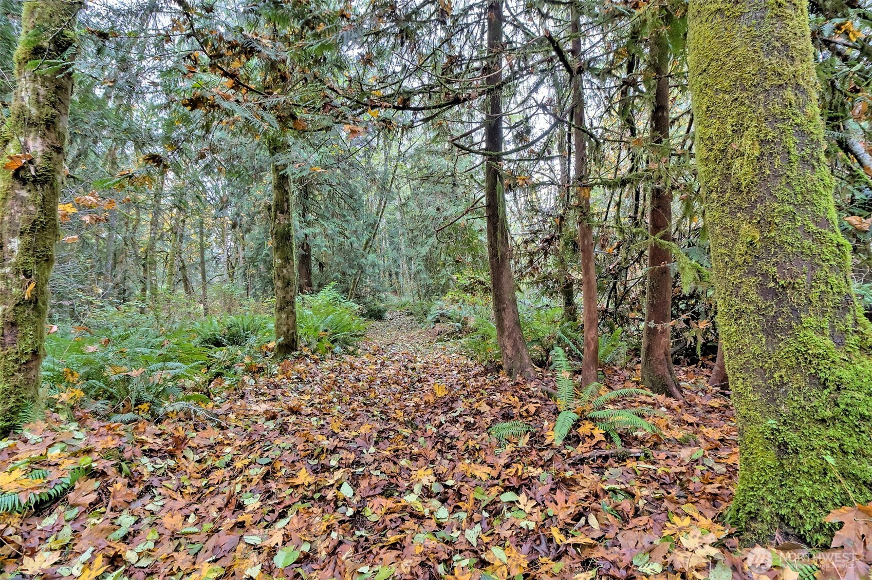 120 SE Sells Drive Shelton WA 98584