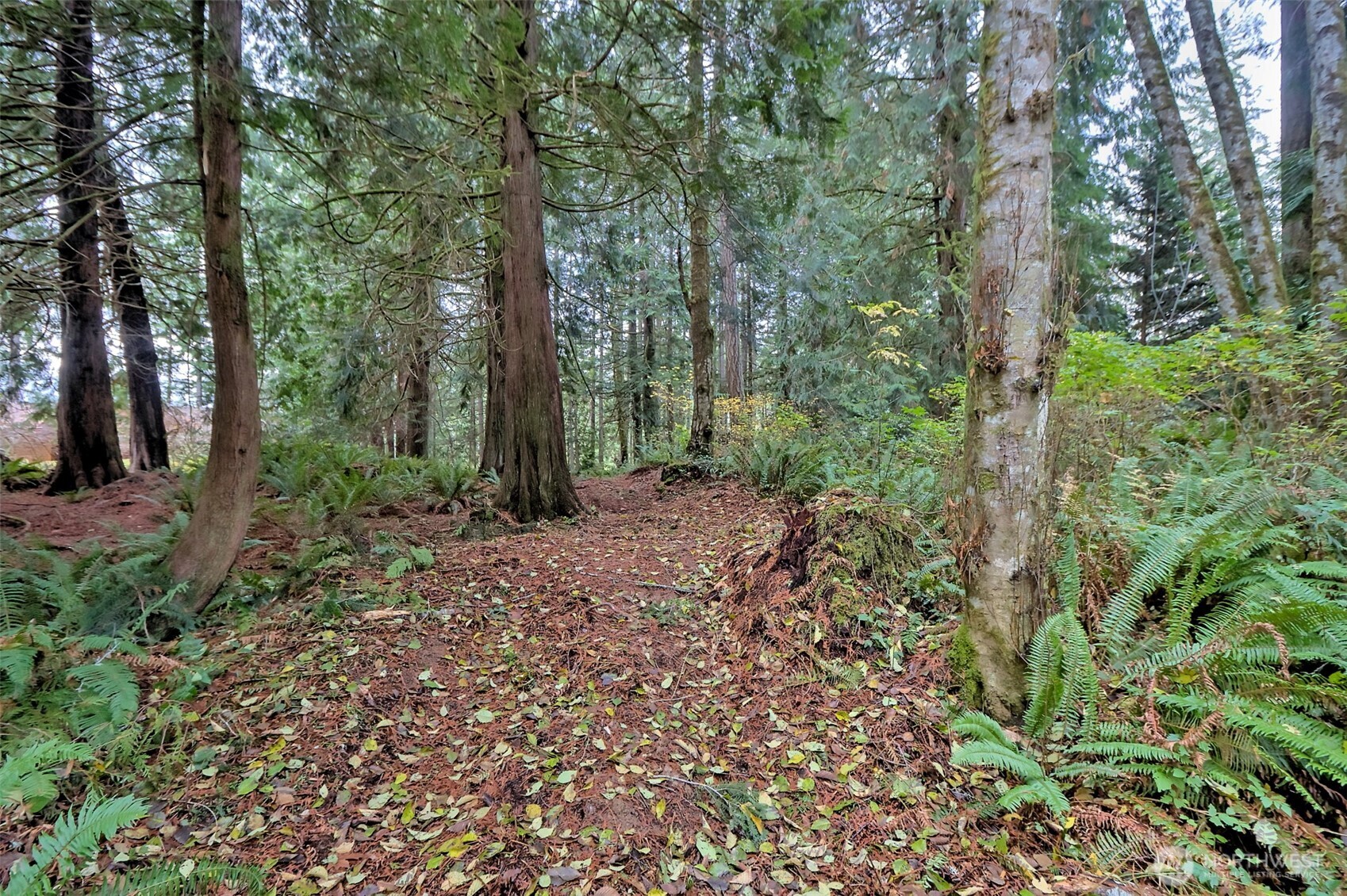 120 SE Sells Drive Shelton WA 98584