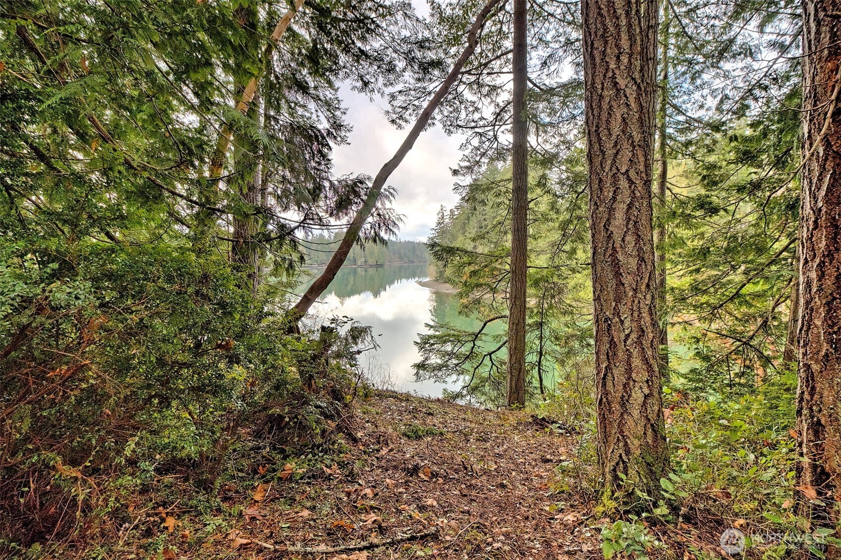 120 SE Sells Drive Shelton WA 98584